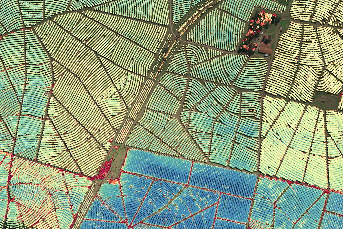 Multispectral Indices